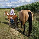 poulain l'Attrape-rêve cheval