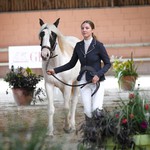 poulain l'Attrape-rêve cheval